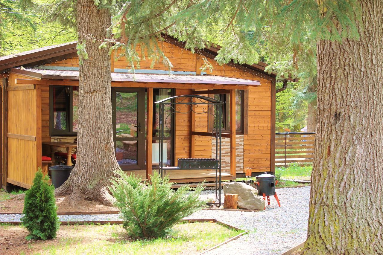 Кульраше архыз. Kulrashe Chalet Архыз. Cabin Shale Архыз. Архыз Шале домики в лесу.